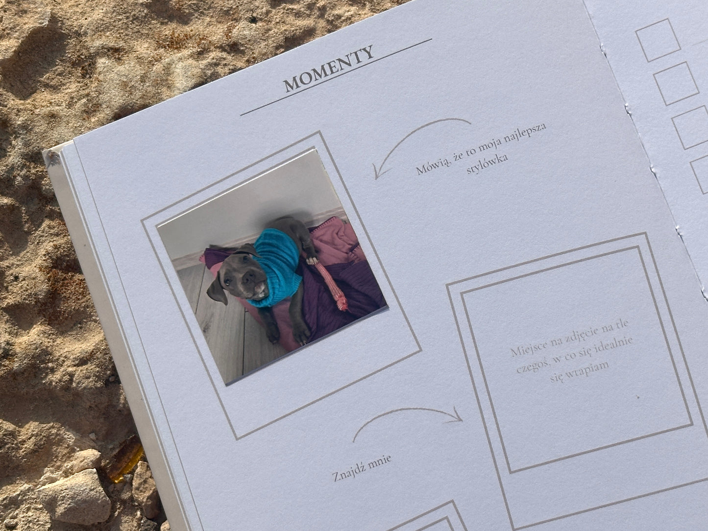 Śladami łapek -  Psi pamiętnik