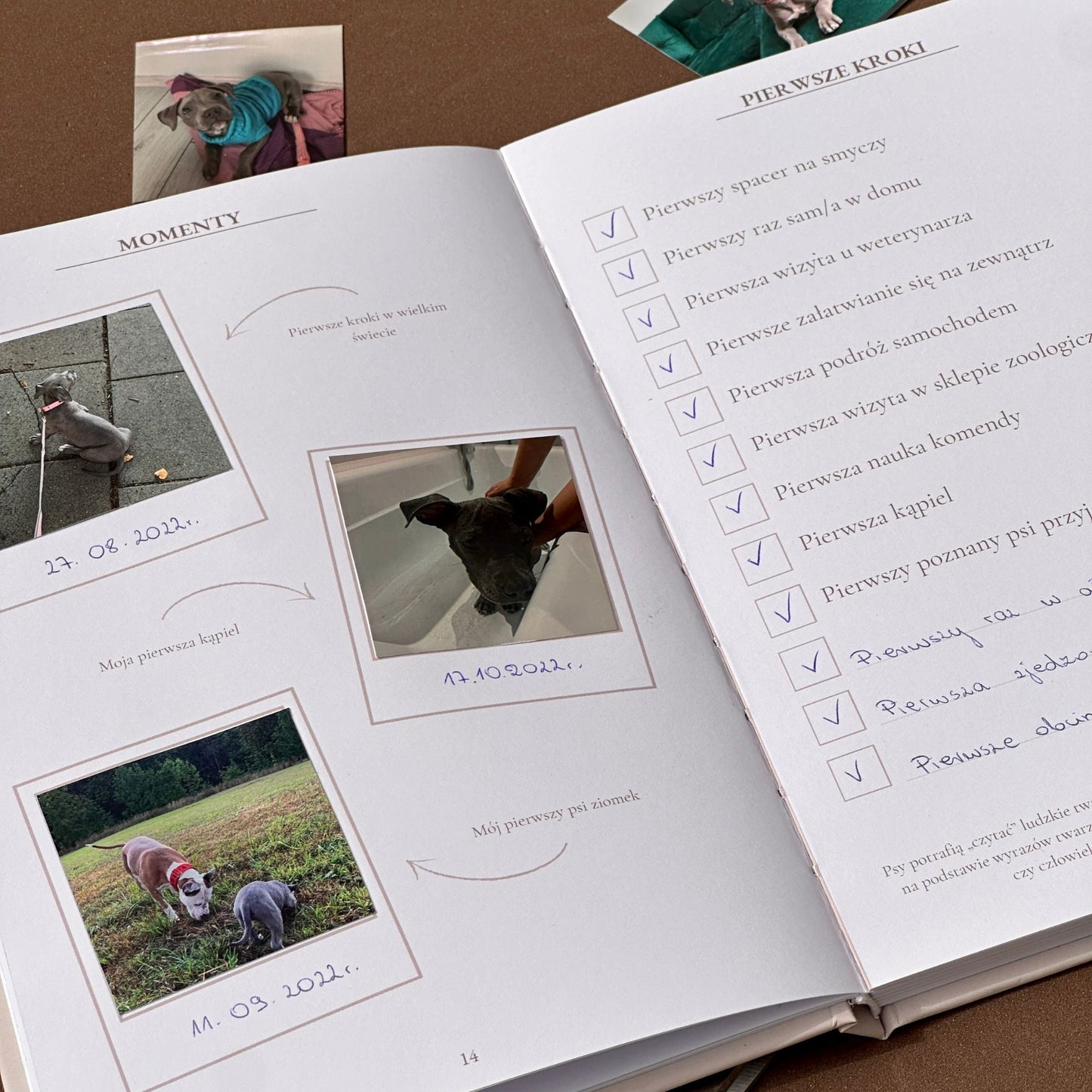 Śladami łapek -  Psi pamiętnik