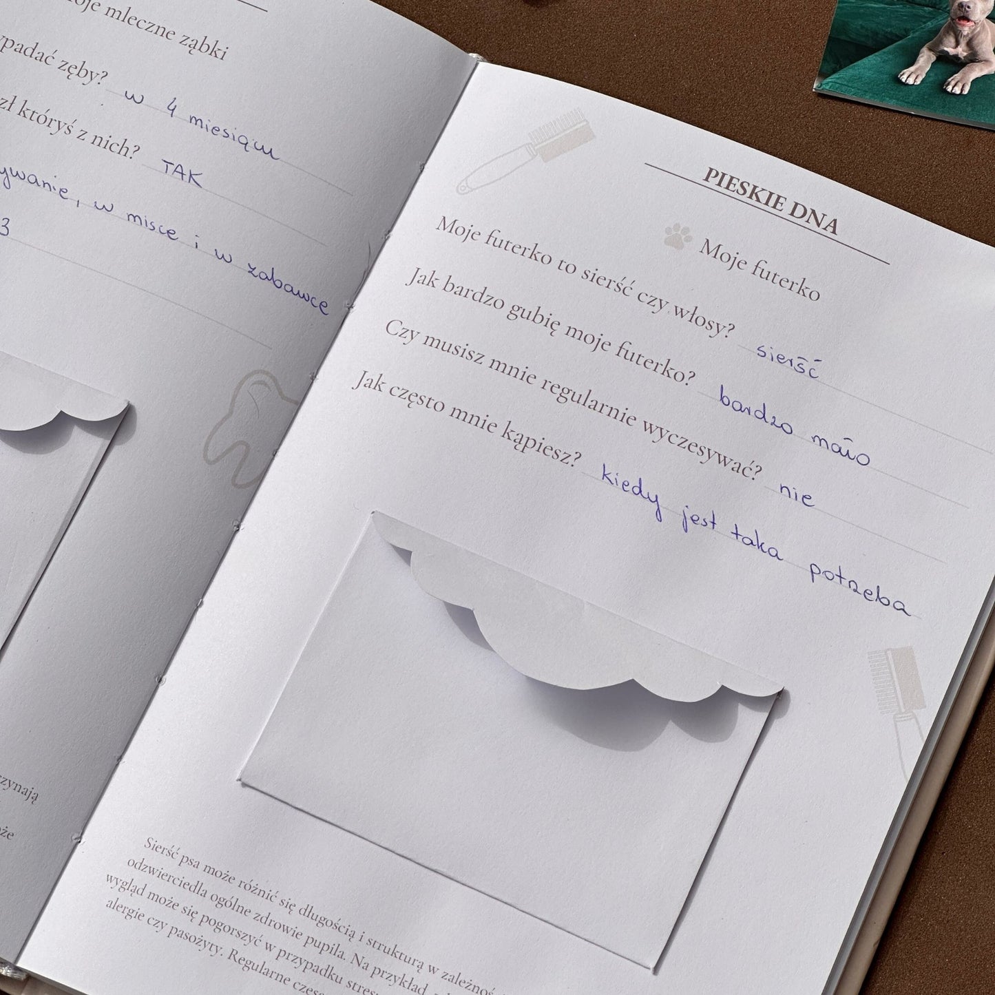 Śladami łapek -  Psi pamiętnik