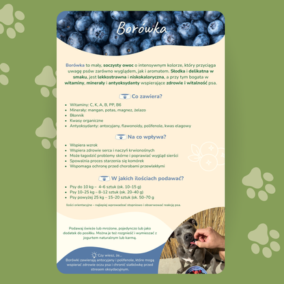 eBook ''Zdrowa micha''