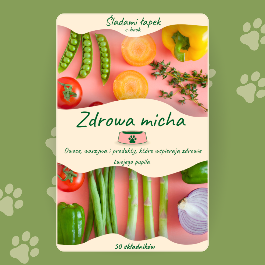 eBook ''Zdrowa micha''