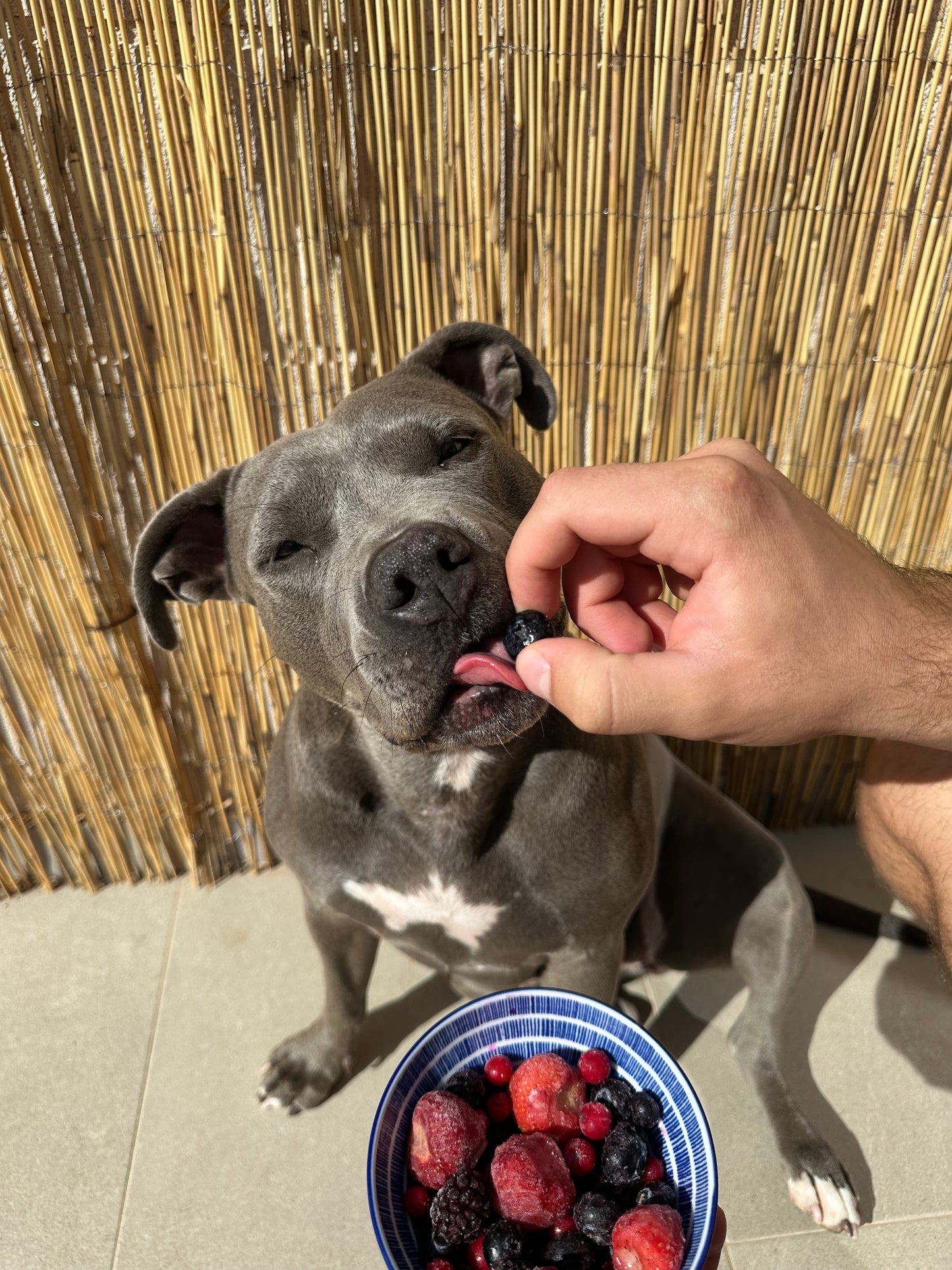 eBook ''Zdrowa micha''