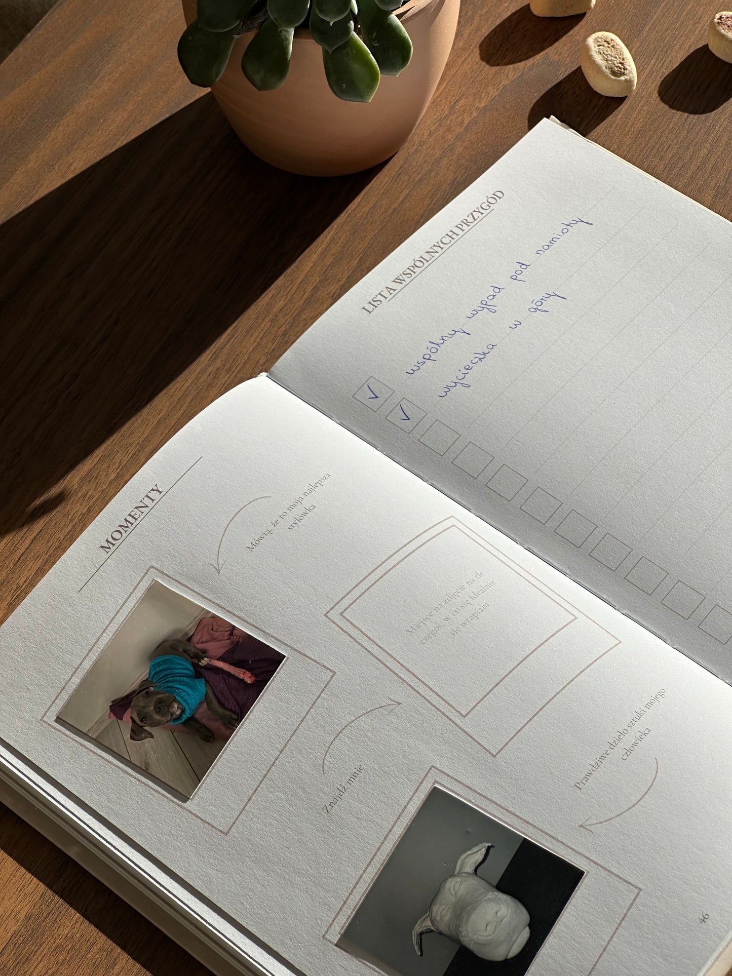 Śladami łapek -  Psi pamiętnik