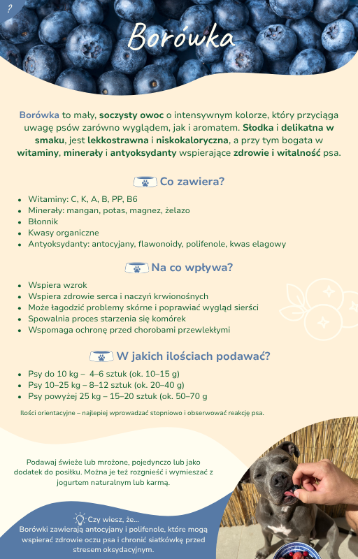 eBook ''Zdrowa micha''